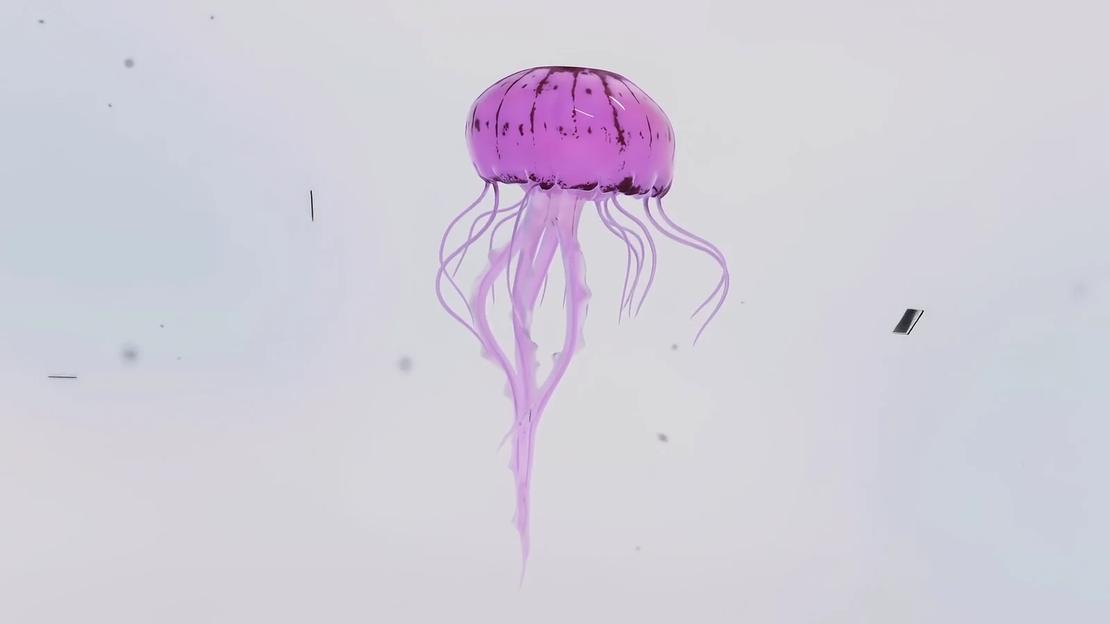A violet jellyfish drifting through pale water