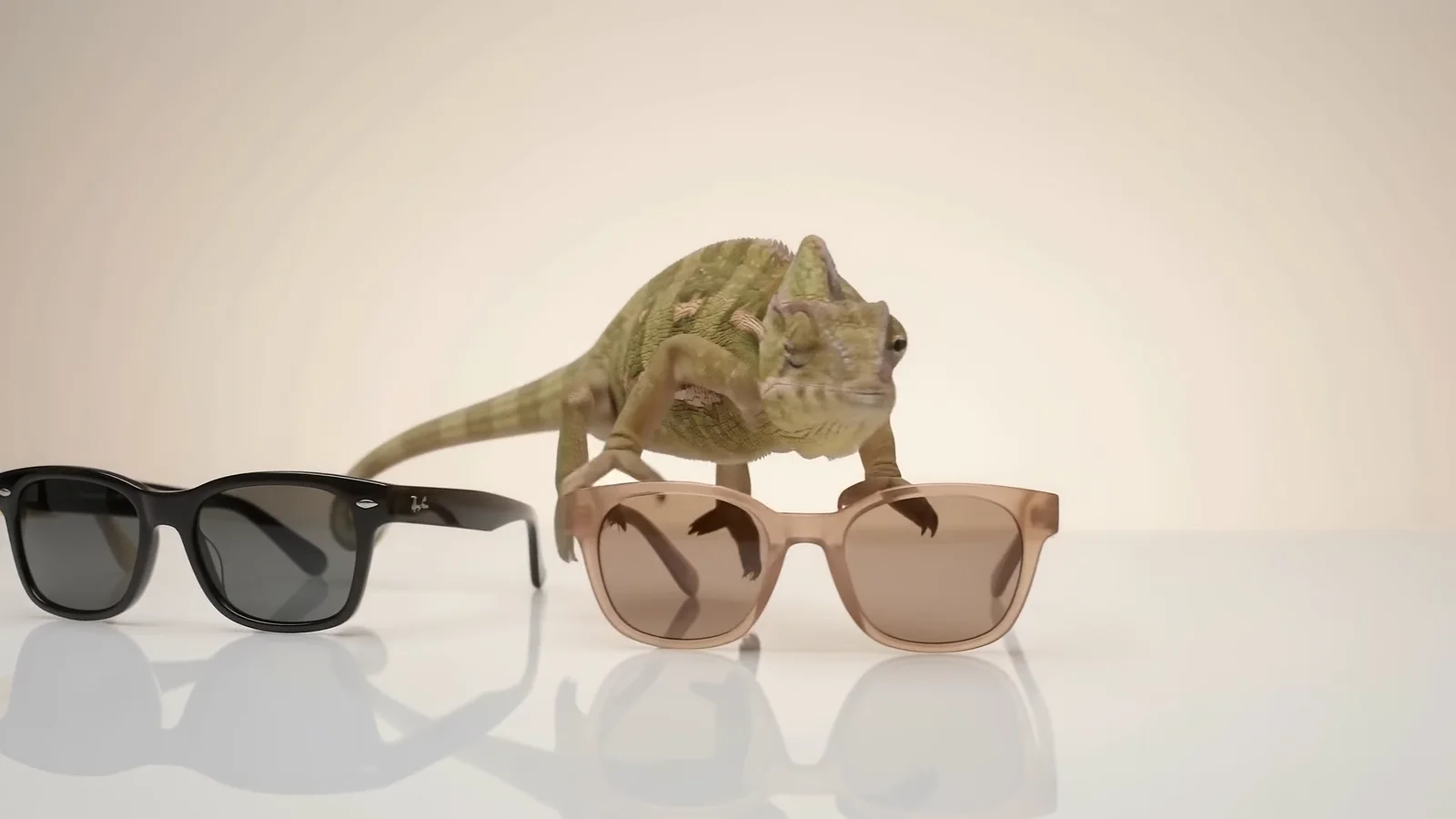 The chameleon stepping onto blush pink sunglasses