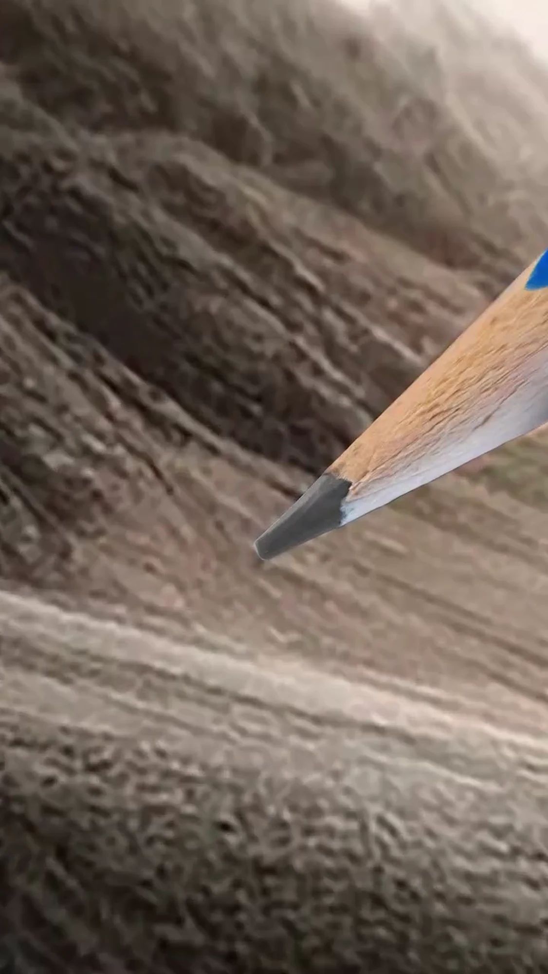 An extreme close view shifts attention from the drawing to the tool and the grain beneath it.